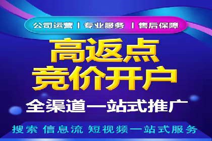 百度SEO推广实战：行业领先企业的成功之道